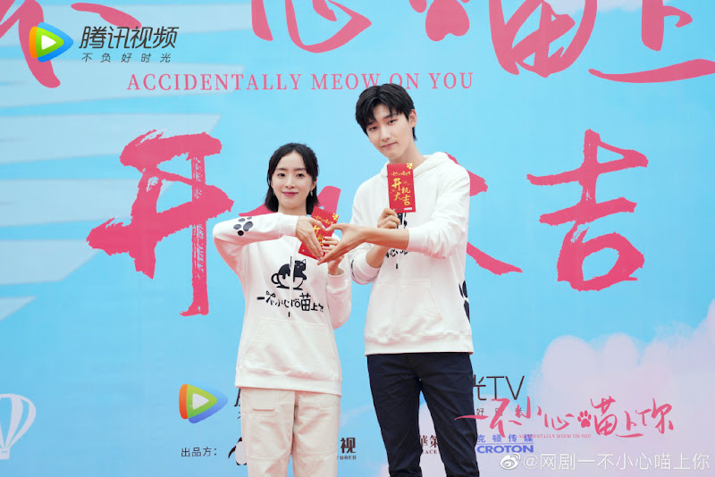 Accidentally Meow On You China Web Drama